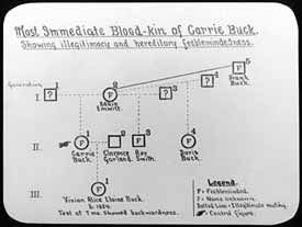 Carrie Buck’s pedigree. Courtesy of Special Collections, Pickler Memorial Library, Truman State University.