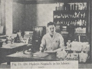 Dr. Hideyo Noguchi in his laboratory