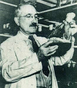 Dr. Selman A. Waksman (1888-1973)