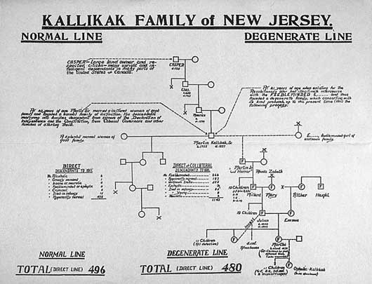 Kallikak family of New Jersey pedigree chart. Courtesy of the American Philosophical Society.