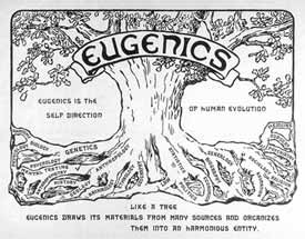 Eugenics Tree Logo. Courtesy of the American Philosophical Society.