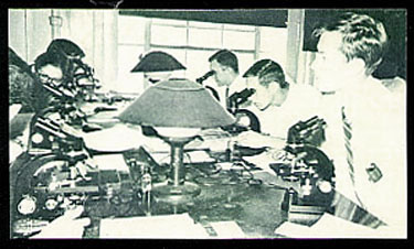 Medical Students in the Laboratory