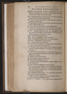 Bartholin,…Anatome ex omnium…, p 294