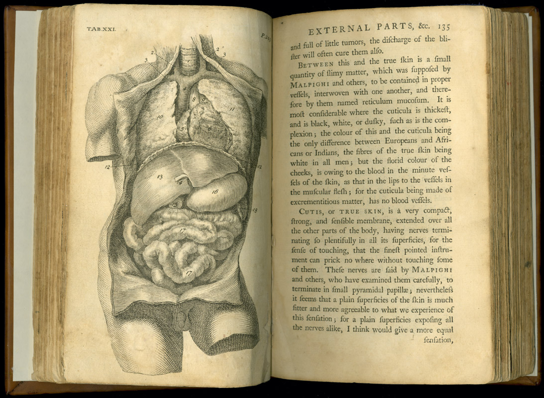William Cheselden (1688-1752) | Vaulted Treasures: Historical Medical