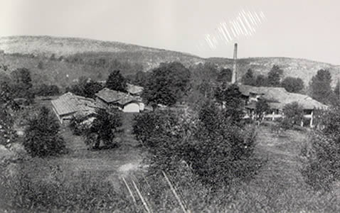 Blue Ridge Sanatorium (ca. 1920's)