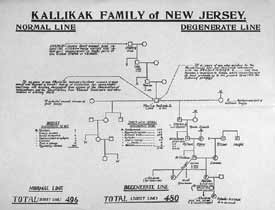 Kallikak family of New Jersey pedigree chart. Courtesy of Paul Lombardo.