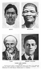 Faces and Races Illustration. Courtesy of Special Collections, Pickler Memorial Library, Truman State University.