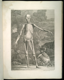 Albinus, Tables of the Skeleton and Muscles…, tab 3