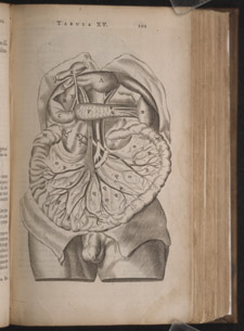 Bartholin,…Anatome ex omnium…, p 101