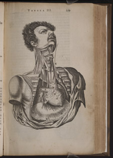 Bartholin,…Anatome ex omnium…, p 359