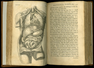 Cheselden, The Anatomy of the Human Body, tab XXI-135