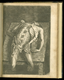 Bell, Engravings of the Bones, Muscles, and Joints…, plate IX