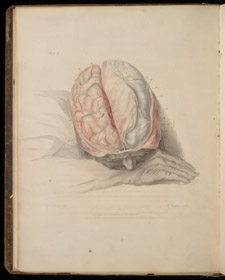 Bell, The Anatomy of the Brain…, plate I