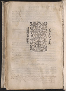Bernard de Gordon, Omnium aegritudinum a vertice ad calcem, opus praeclariss, qqiii