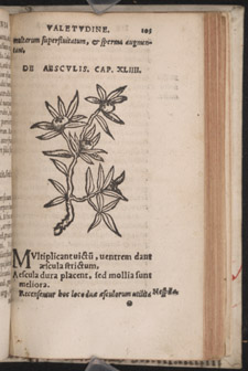 Arnaldus, de Villonova and the School of Salerno, De conservanda bona valetudine…, p 105